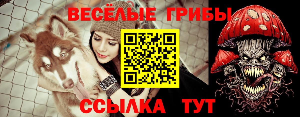 Псилоцибиновые грибы Magic Shrooms Зеленогорск